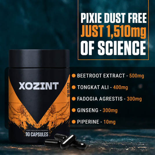 Xozint Support