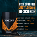 Xozint Support