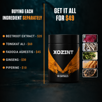 Xozint Support